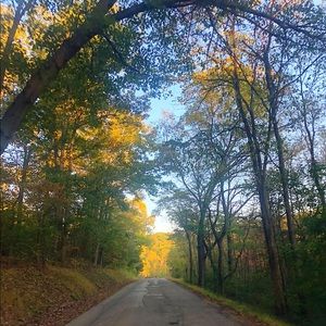 Meet your Posher, Dakota